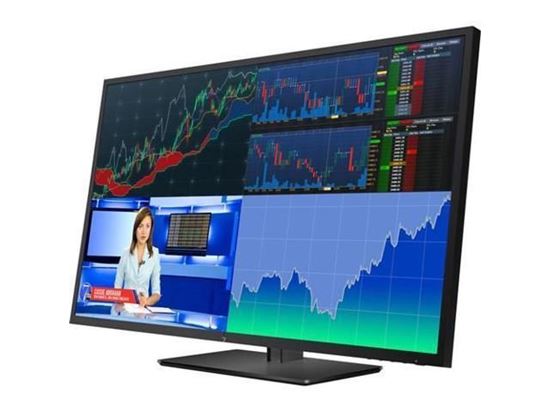 Hình ảnh HP Z43 42.5-inch 4K UHD Display (1AA85A4)